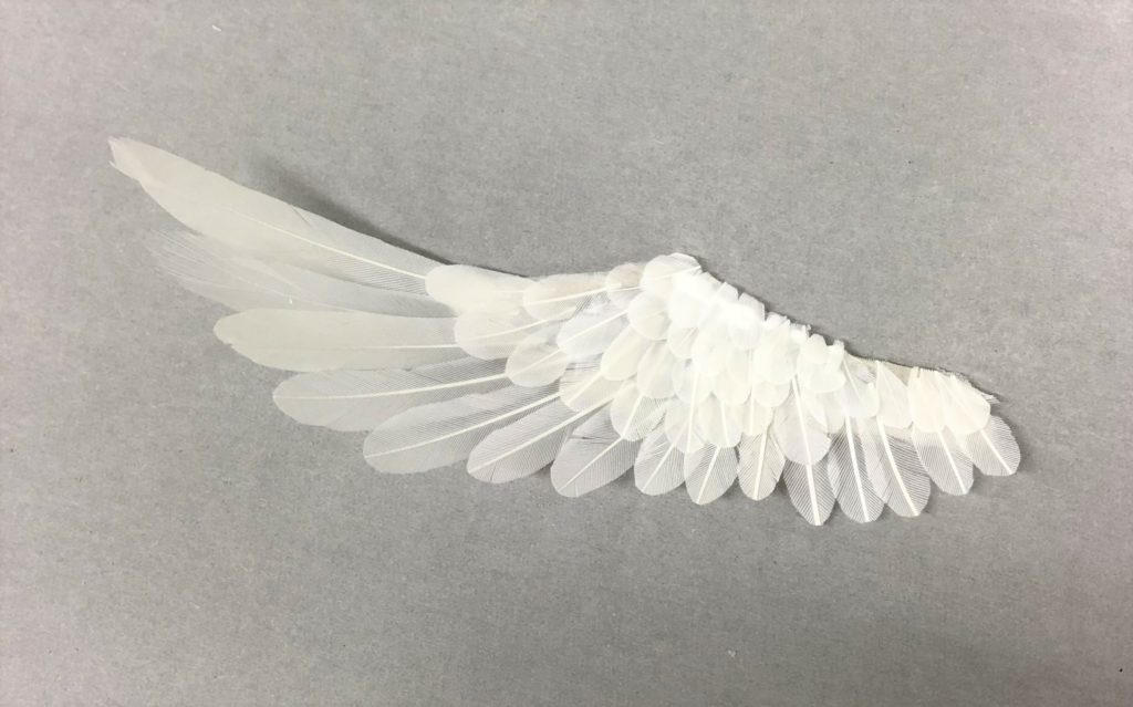 Harmonia bloomに天使の翼を作りました！ | グッスマらぼ 